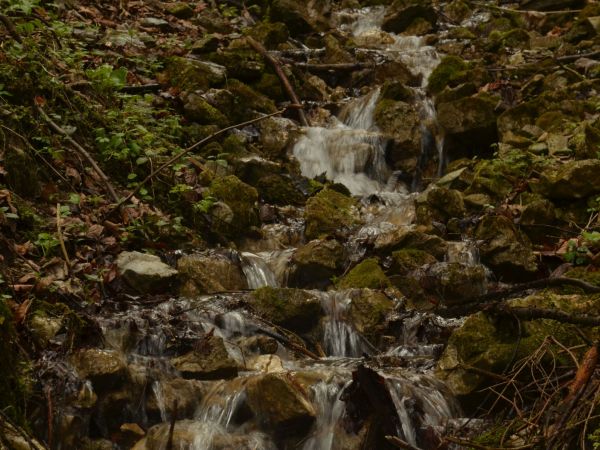 Przy Drodze Pienińskiej