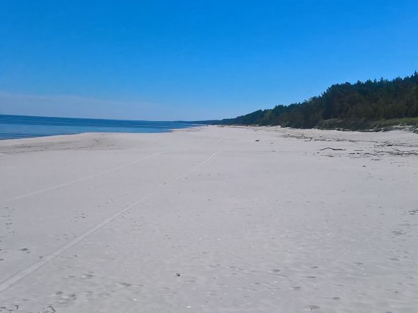 Plaża skowronki