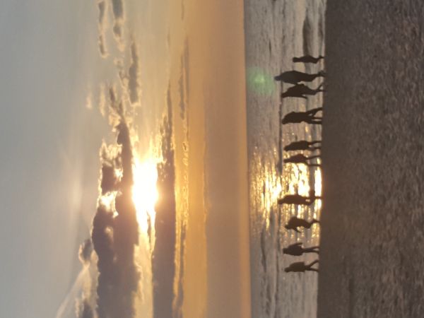 Zachód słońca- plaża Międzyzdroje