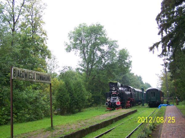 "Carski pociąg" w Białowieży