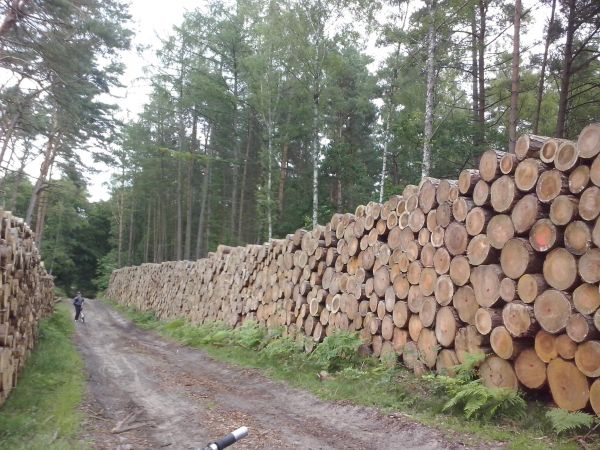 Zdjęcia z tras rowerowych wokół Świnoujścia + ratusz i filharmonia w Szczecinie