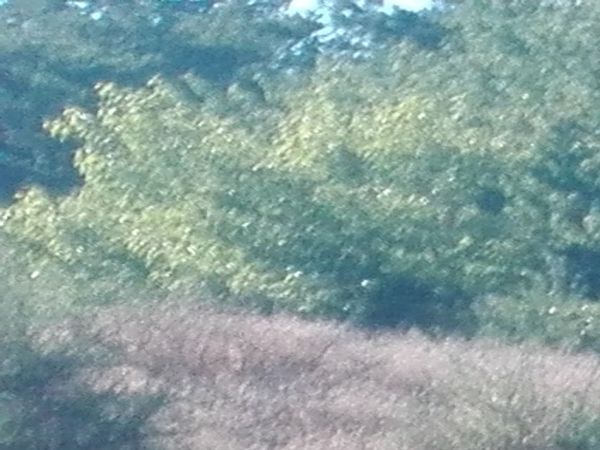 Przejście na plażę wąwozem.