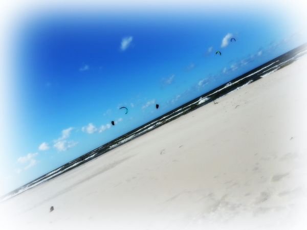 Karwieńskie Błota ,sierpień 2017 r.