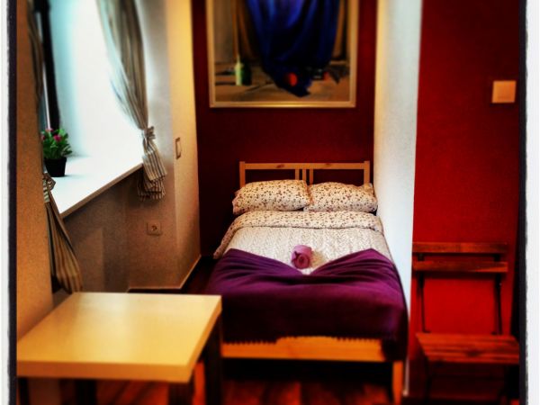 Gniazdo w Felicjanowie - Felicjanów Historie