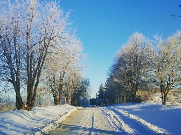 Zima na peryferiach Dąbrowy Górniczej