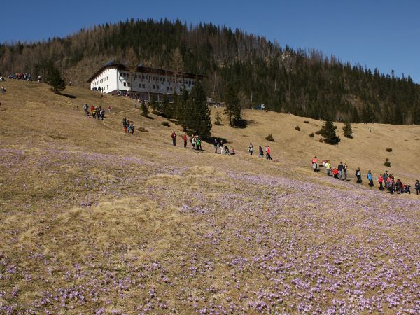 Polana Kalatówki i Hotel Górski PTTK Kalatówki