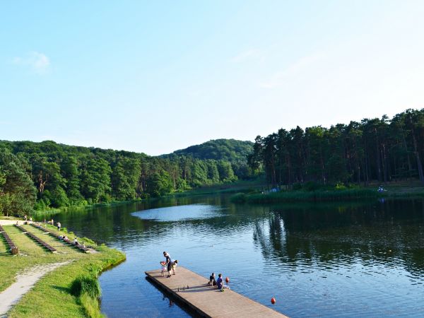 Staw Amerykan w Złotym Potoku ( Jura Krakowsko- Częstochowska)