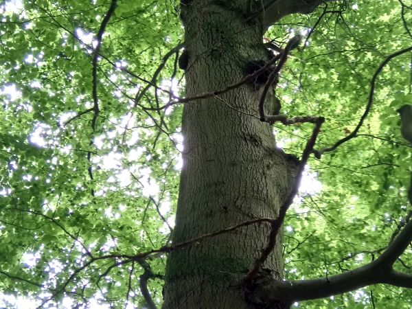 Zdjęcia z tras rowerowych wokół Świnoujścia + ratusz i filharmonia w Szczecinie