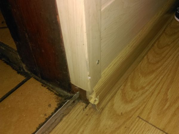 Zdjęcia Domki Alina