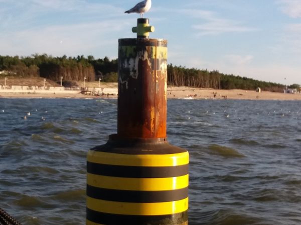 Rejs statkiem Eleonora