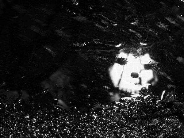 Leszno w nocnej szacie