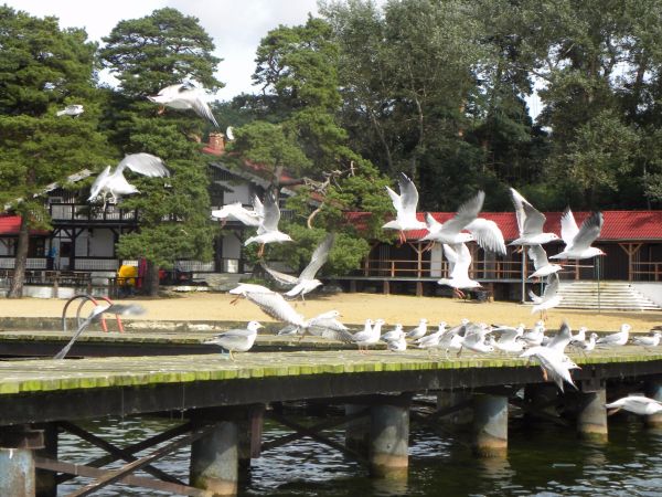 Barlinek - Rynek i Jezioro Barlineckie
