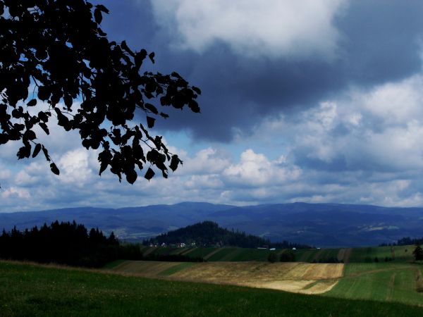 Dursztyn z Grandeusa. W tle Gorce