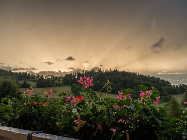 Pokoje Gościnne u Ewy