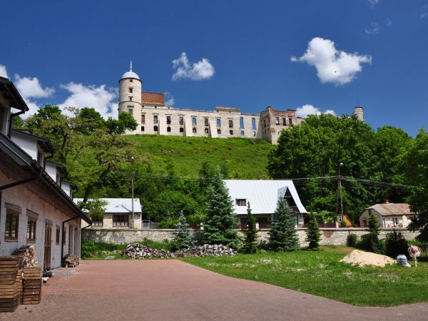 Ruiny zamku w Janowcu
