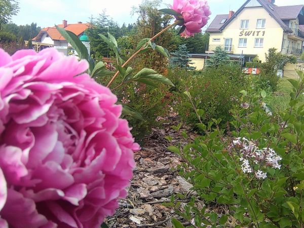 Wakacje nad morzem, pensjonat Jantar- Wicie