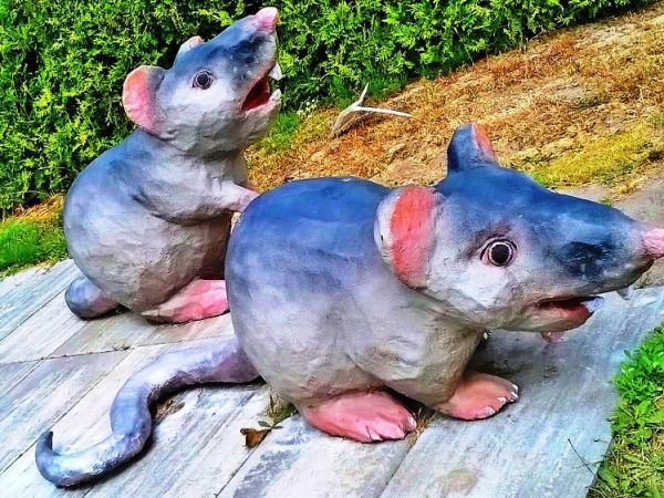 Fascynujące Ogrody Botaniczne w Dobrzycy 20.06.2017_część II