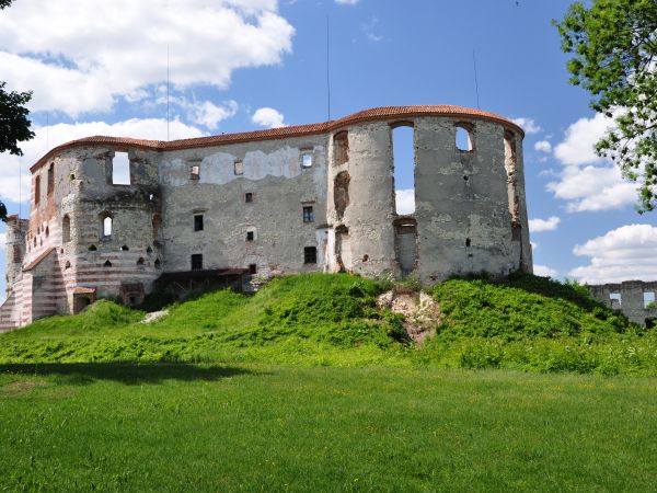 Ruiny zamku w Janowcu