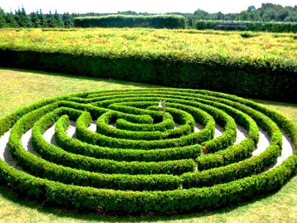 Fascynujące Ogrody Botaniczne w Dobrzycy 20.06.2017_część II