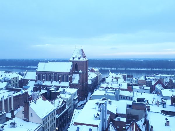 Panorama Torunia