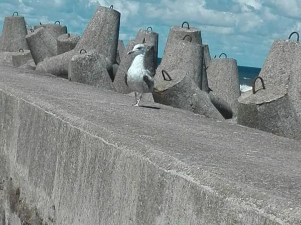 zmierzch nad morzem ,,,,widok z molo,,port jachtowy, port ,