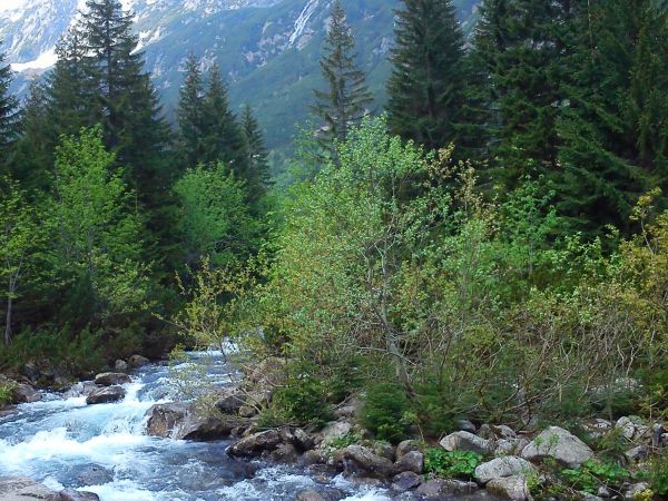 w drodze do Dolny Pięciu Stawów Polskich