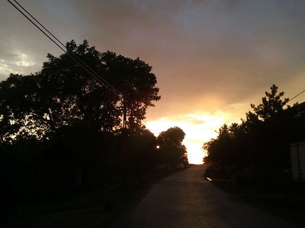 Dodów / pod wieczór/