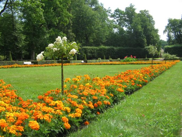 Lubartów i Kozłówka