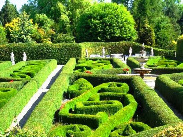 Fascynujące Ogrody Botaniczne w Dobrzycy 20.06.2018