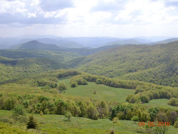 Zdjęcia ze szlaku "Wołosate - Rozsypaniec - Halicz - Tarnica - Wołosate"
