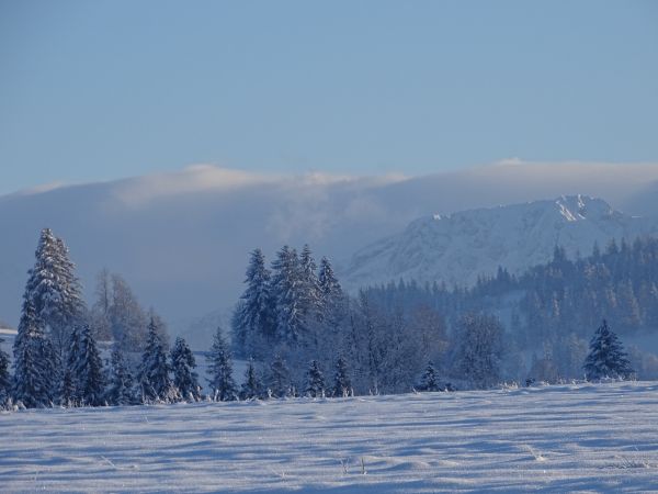 panorama Tatr z Zębu
