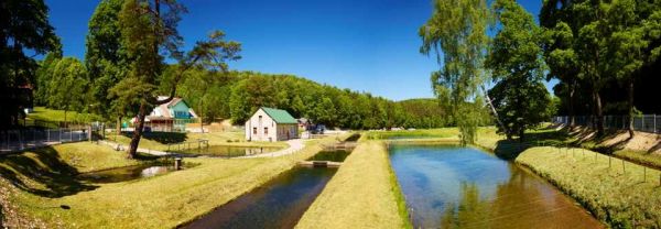 Pstrągarnia w Złotym Potoku JURA KRAKOWSKO CZĘSTOCHOWSKA