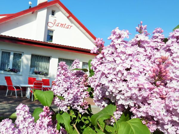 Wakacje nad morzem, pensjonat Jantar- Wicie
