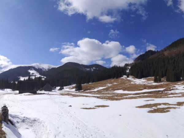 Polana Chochołowska