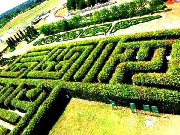 Fascynujące Ogrody Botaniczne w Dobrzycy 20.06.2017_część II