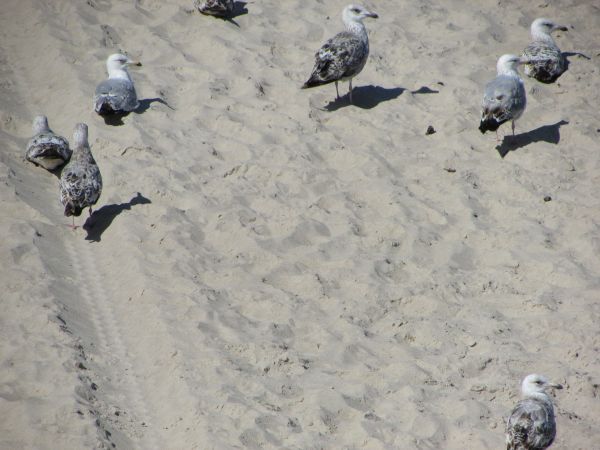 WYPOCZYNEK  06.  2018