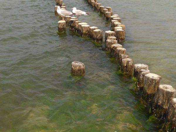 WYPOCZYNEK  06.  2018