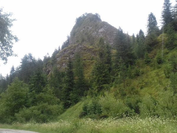 Rezerwat Biała Woda.