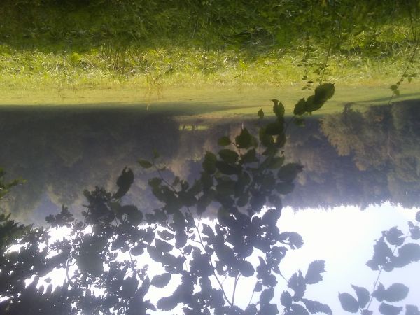 Bobbrka-Zabrodzie pieknie widoki