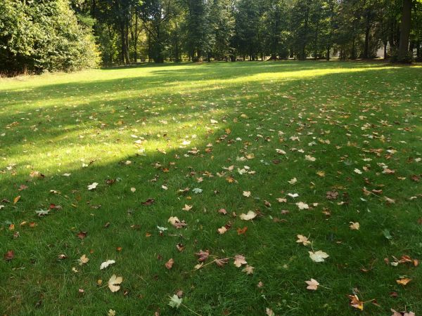 Lubartów i Kozłówka