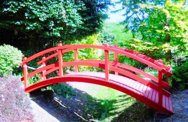 Fascynujące Ogrody Botaniczne w Dobrzycy 20.06.2018