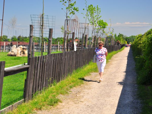 ZOO Wojciechów