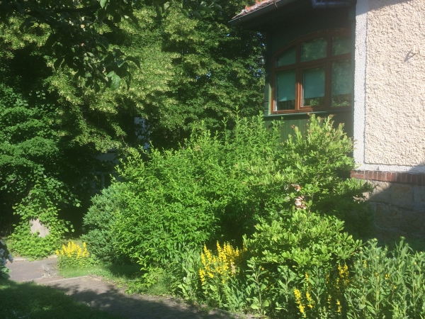 widoczek z mojego ulubionego leżaczka