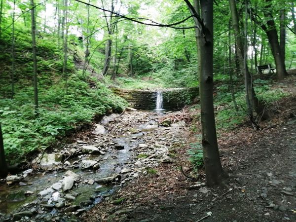 Potok Gościradowiec