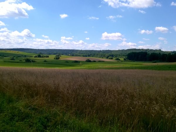 Dolina Płoni - Park Kulturowo-Krajobrazowy Źródliskowa Dolina Płoni