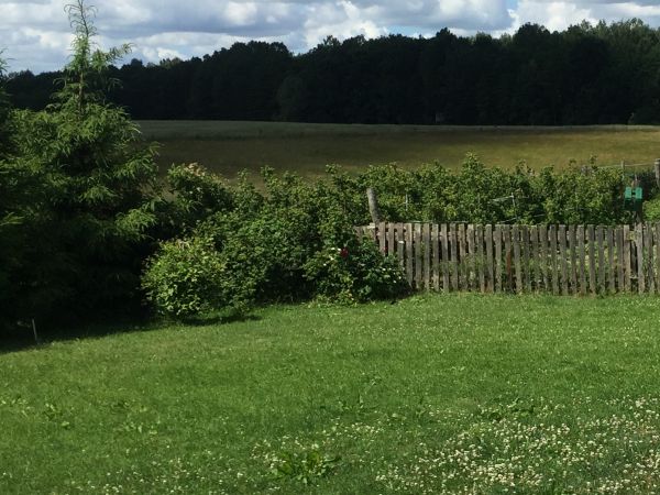 Bogacki domek na Mazurach