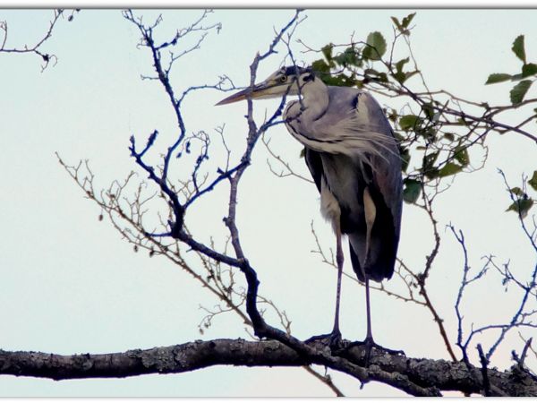 Sierpień na Mazurach