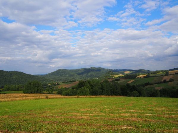 Domek Wichrowe Wzgórze