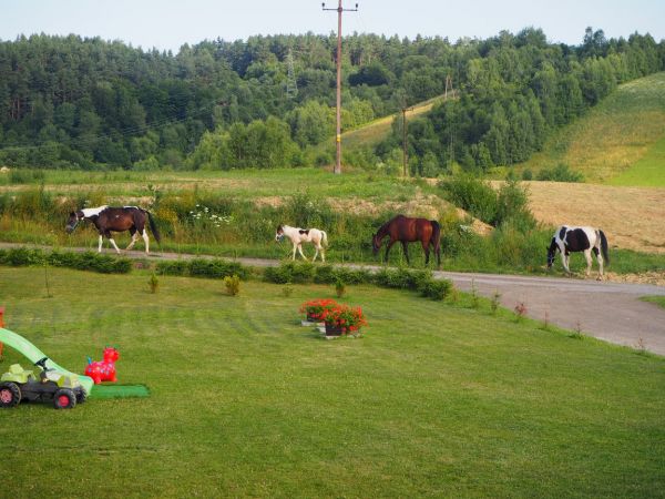 Domek Wichrowe Wzgórze