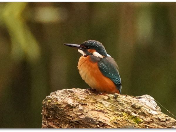 Sierpień na Mazurach